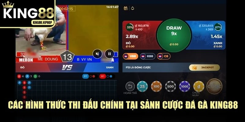 Các hình thức thi đấu chính tại sảnh cược đá gà KING88