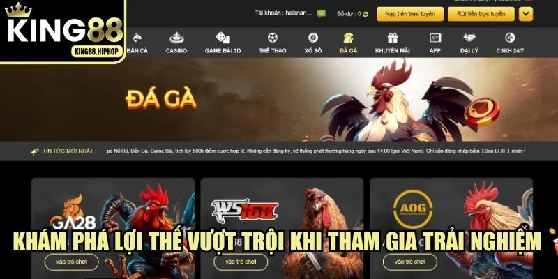 Khám phá lợi thế vượt trội khi tham gia trải nghiệm đá gà KING88
